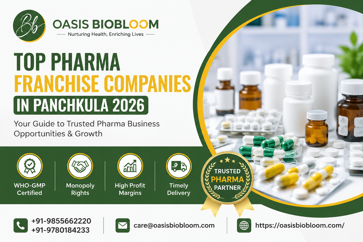 Top Pharma Franchise Companies in Panchkula 2026